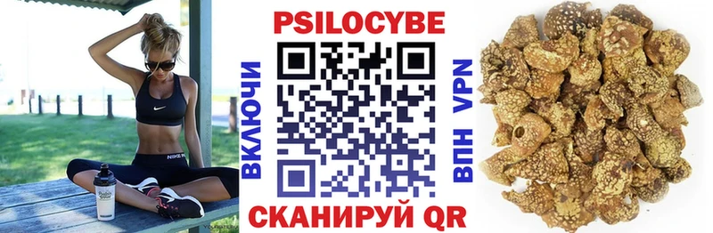 закладка  Оленегорск  ОМГ ОМГ ТОР  Псилоцибиновые грибы прущие грибы 